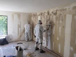 Best Industrial Mold Remediation  in Fort Davis, TX